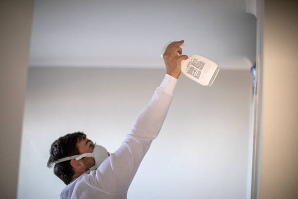 Best HVAC Mold Remediation in Port Barrington, IL