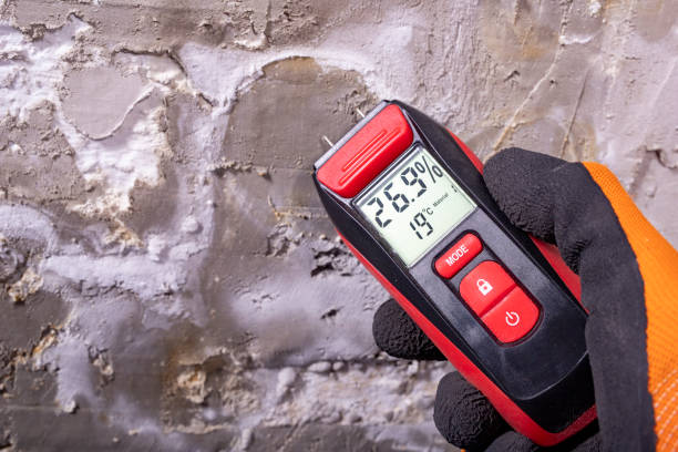 Best Industrial Mold Remediation in Port Barrington, IL