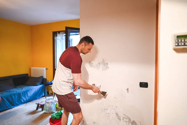 Best Mold Remediation for Schools in Port Barrington, IL